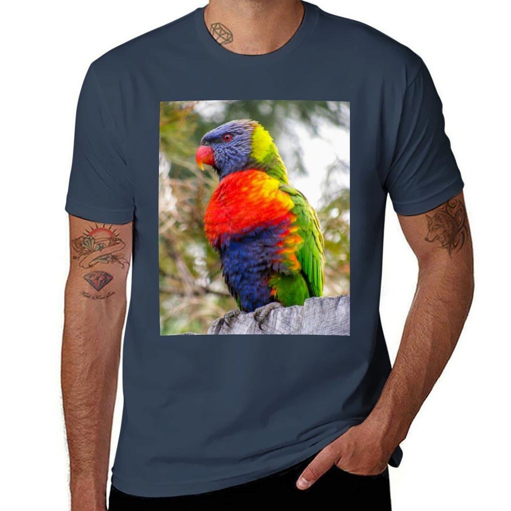 Rainbow Lorikeet Tshirt Plus Size Gym Sports Tshirt