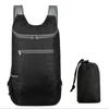 1pc Weekend Travel Bag, Foldable Waterproof Tear-resistant Lightweight Backpack, Large Capacity Travel Business Backpack, Sports