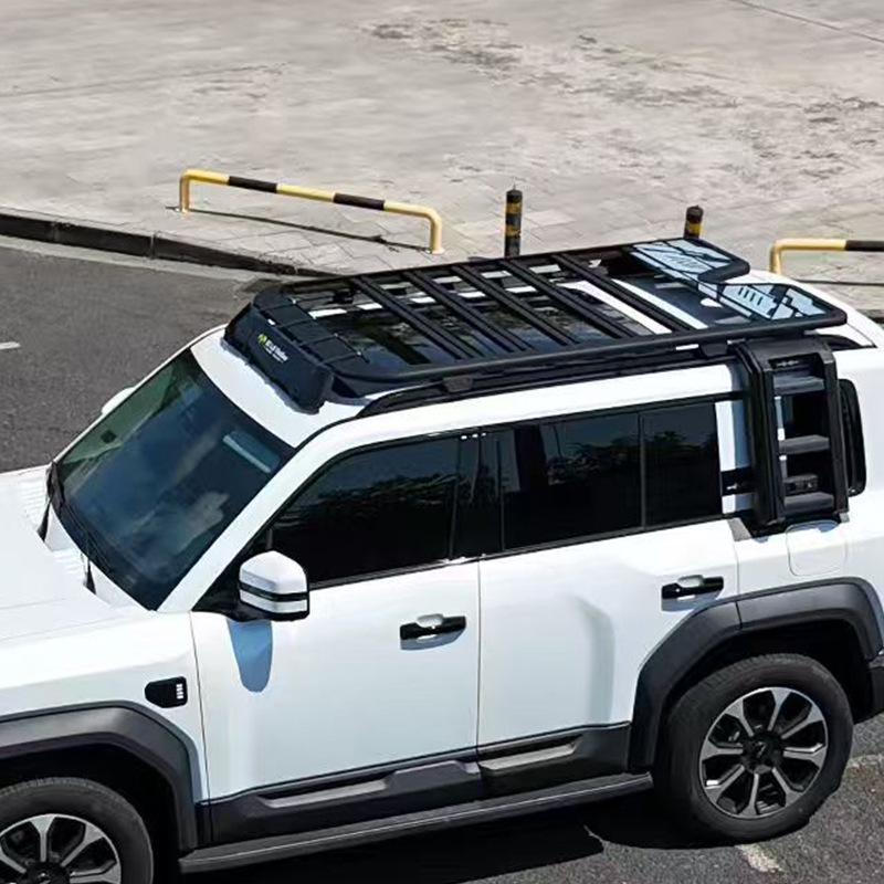 Ford Explorer/Edge/Territory Aluminum Roof Platform with Foldable Ladder