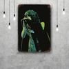 Steven Tyler Funny Bar Metal Sign Retro Plaque Vintage Sign Alcohol Drinker Pub Club Man Cave Kitchen Wall Decoration