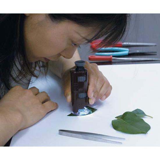 MAFYLASS Investigative Series Pocket Microscope with LED Light (Black/Gray) LP-33G