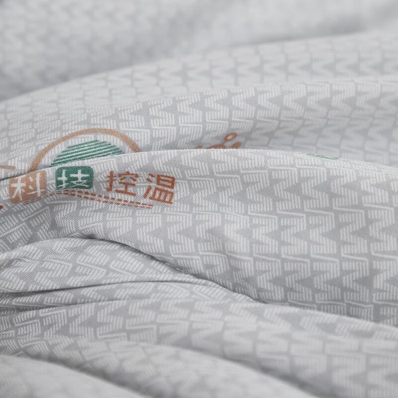 Bijiaman BGM-B2550 Warm Washed Cotton Winter Quilt