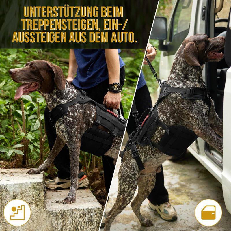 1PCS Outdoor Dog Vest Dogs Harness Tactical Train Coat Medium Large Dogs Vests Chest Strap Bungee Leash Lead Training Running