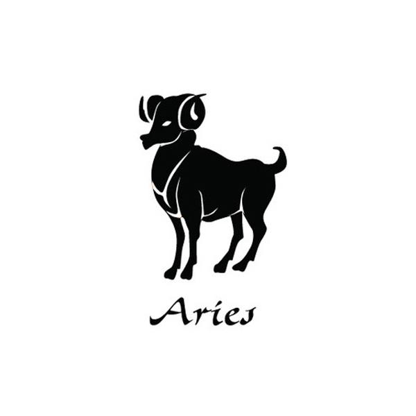 Zodiac Muži Šperky Kožené Náramky Pro Ženy Náramek Šarm Býk Rak Capricom Leo Blíženci