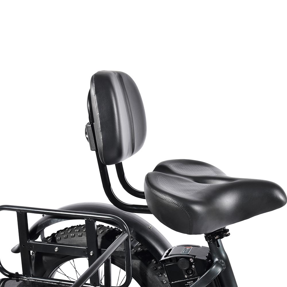 PULUMA SL001 Dual Motor Electric Cargo Trike, Dual Battery 48V 27Ah 7-Speed with Hydraulic Brakes