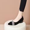 Pointed single shoes women's 2025 spring shallow loafers simple temperament rhinestone banquet shoes two kinds of high foot shoes
