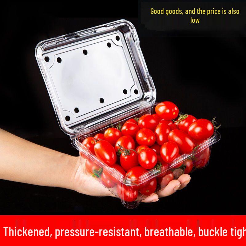 Plastic Fruit Container with Lid