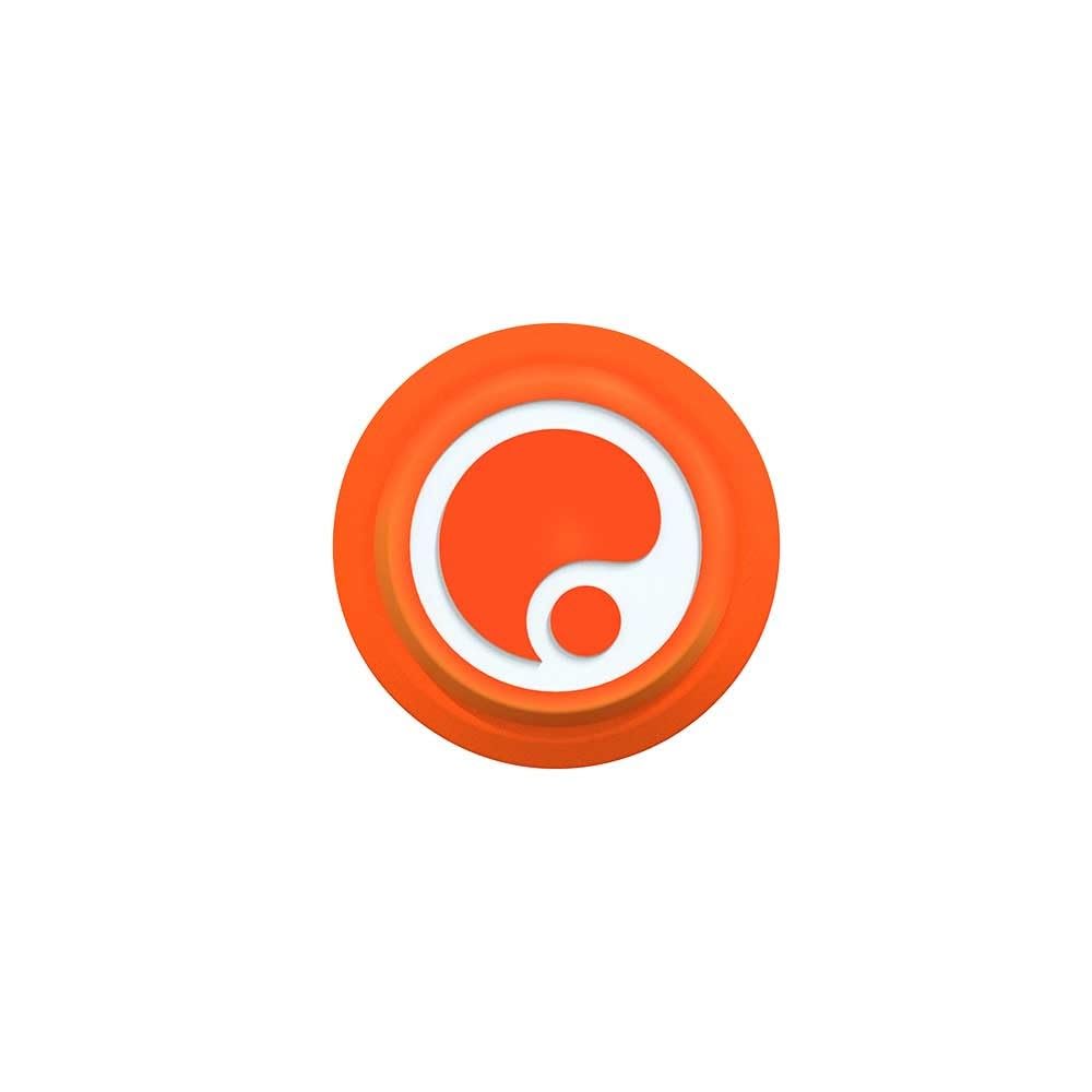 Ergon GXR Grips Large Orange