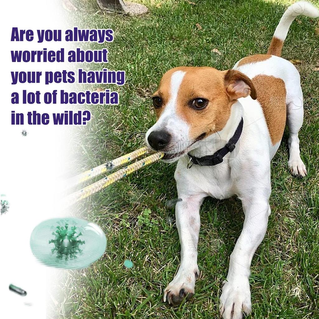 Υγρά Μαντηλάκια Καθαρισμού Κατοικίδιων Ζώων- Καθαριστικά Μαντηλάκια Ξεσκόνισμα Υγρά Μαντηλάκια Μίας Χρήσης Μη Υφασμένα Καθαριστικά Υγρά Μαντηλάκια Προϊόντα Καθαρισμού 5ml