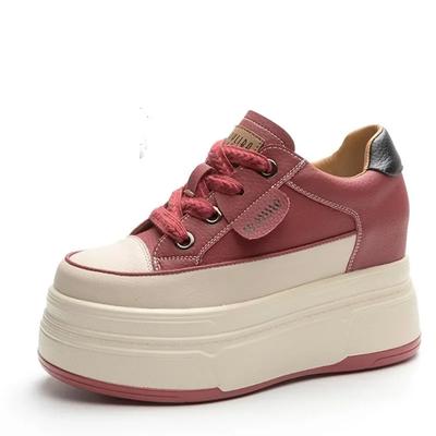 Echt Leer Dames Chunky Sneakers Casual Vetersluiting Dames Platte Platform Schoenen Dikke Zool Damesschoenen Herfst Winter Sneakers