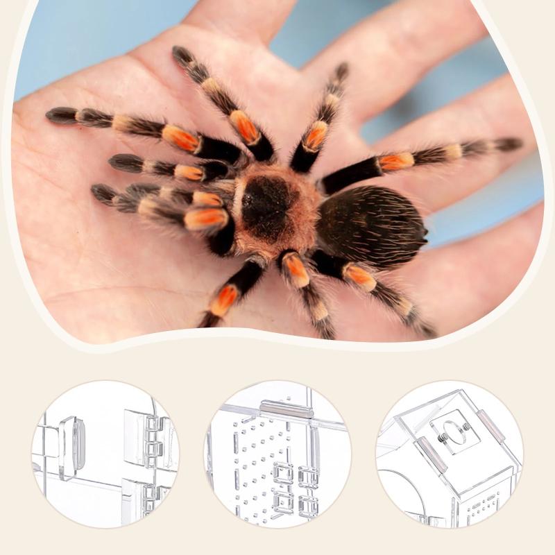 1pc Acrylic Reptile Box Clear Acrylic Reptile Habitat Box Reptile Feeding Box With Lids Mini Pet Breeding Container Pet Supplies