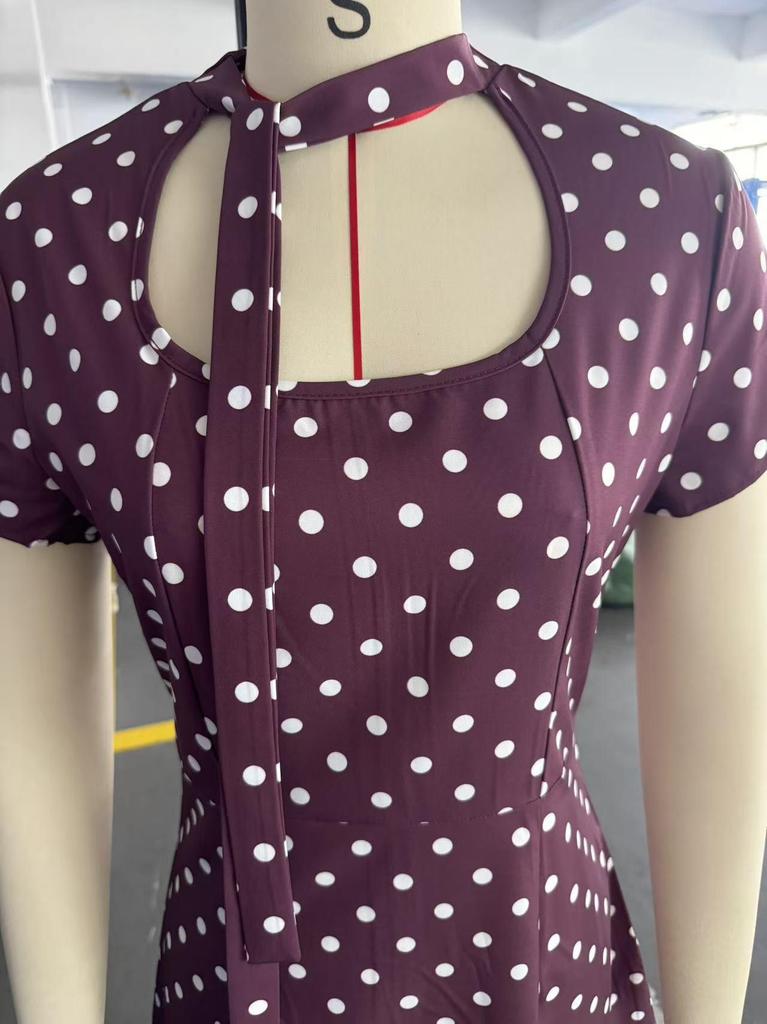 Elegant Women's French Polka Dot Tie-neck Summer Dress