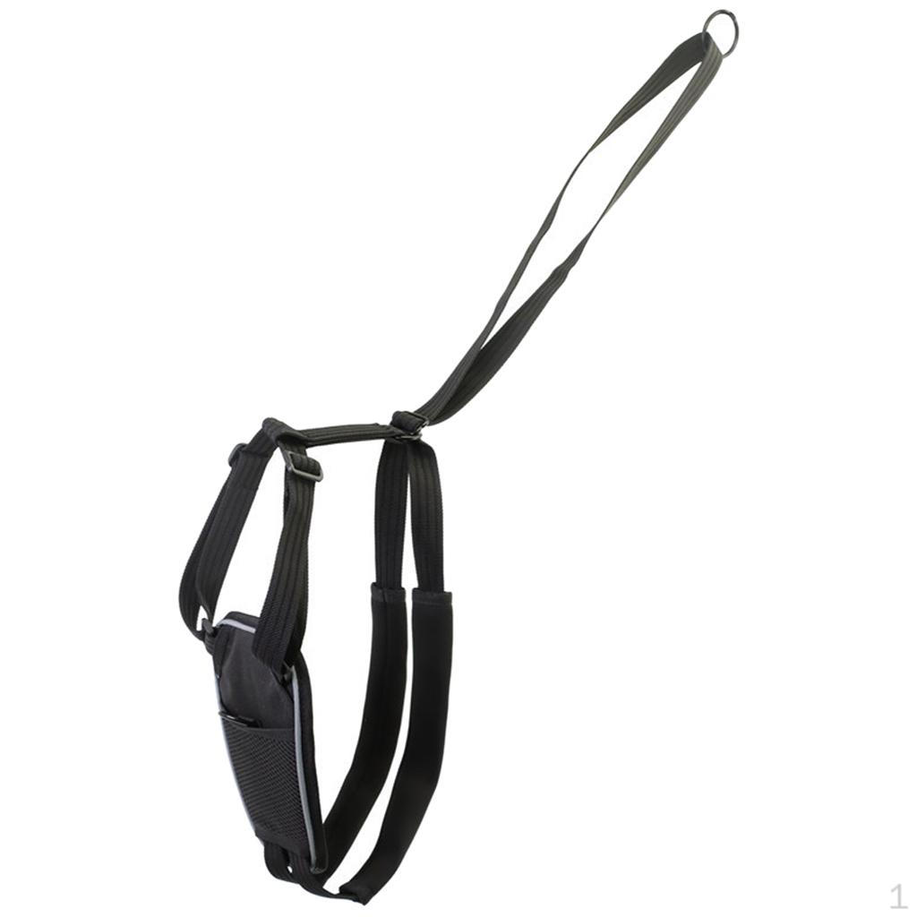 Dog Harness, Adjustable Breathable Puppy Harness with for Outdoor Training, Walking and Hiking Harness