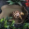 Turtle Frog Bathing Basin With Anti-Slip Ramp Can Also Be Used As Food Bowl And Water Basin For Reptiles And Amphibians