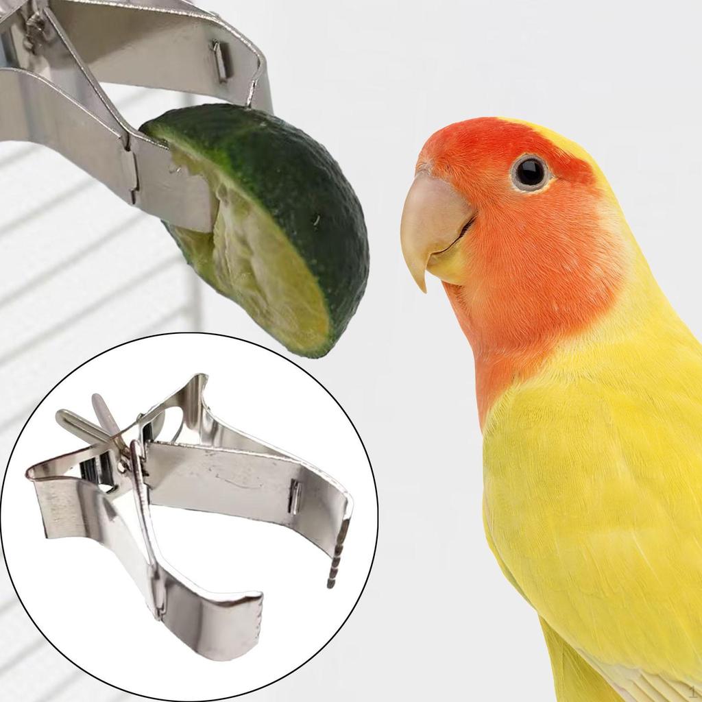 Bird Cage Food Holder Parrot Fruit Vegetable Clip, Easy To Install Feeding for