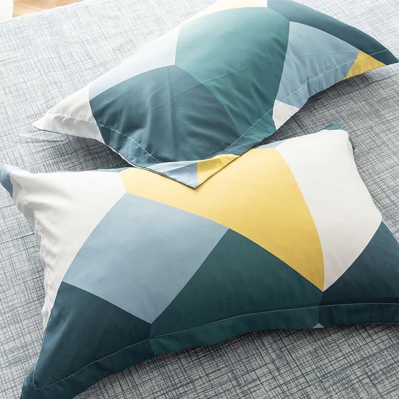 Plover Life Series All-Season 4-Piece Bedding Set