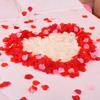 Rose Petal Decor for Weddings: Ceremony, Room, Proposal & More