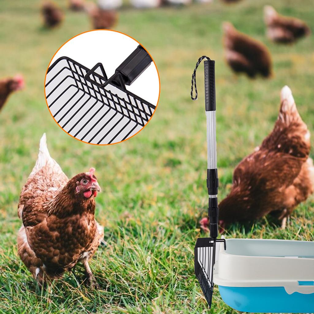 Chicken Coop Poop Shovel 3 In 1 Retractable Chicken Poop Scooper Tool for Chicken Coop Cleaning