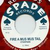Audio e Video – Album musicali