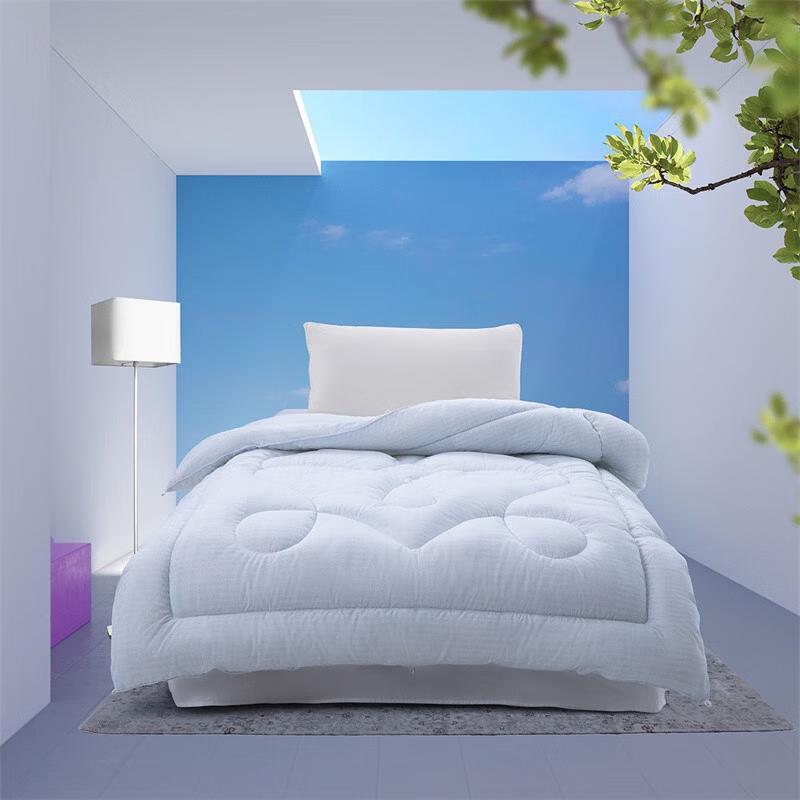 Mercury Home Textiles DH Four Seasons Polyester Quilt