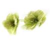 Les Trésors De Lily [D2073] - Designer Earrings 'Country Freshness' Green