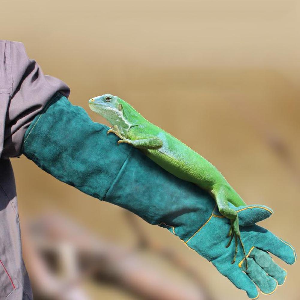 Canvas Blue Pet Reptile Training Anti Bite Lengthen Safety Protection Gloves for Varanid Snake Dogs Cats(Blue )
