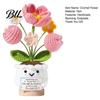 Never Fading Flower Positive Crochet Tulip Wildflower Thank You Gifts for Women Mom Friends Handmade Floral Keepsake Potted Doll with Card Emotional