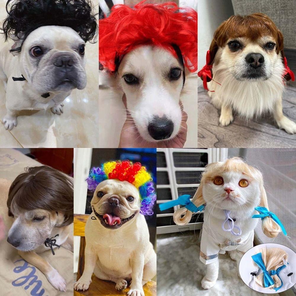 Costume de pisică amuzante pentru animale de companie, costum de Crăciun, perucă, pălărie, perucă pentru animale de companie, accesorii pentru pisici
