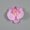 6 Colors Silk Orchid Phalaenopsis Artificial Flower Butterfly Orchids Fake Flower For Home Christmas  Wedding Decoration Flores
