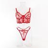 Sexy Embroidered Sheer Lingerie Set: Comfortable, Hot-Selling Two-Piece