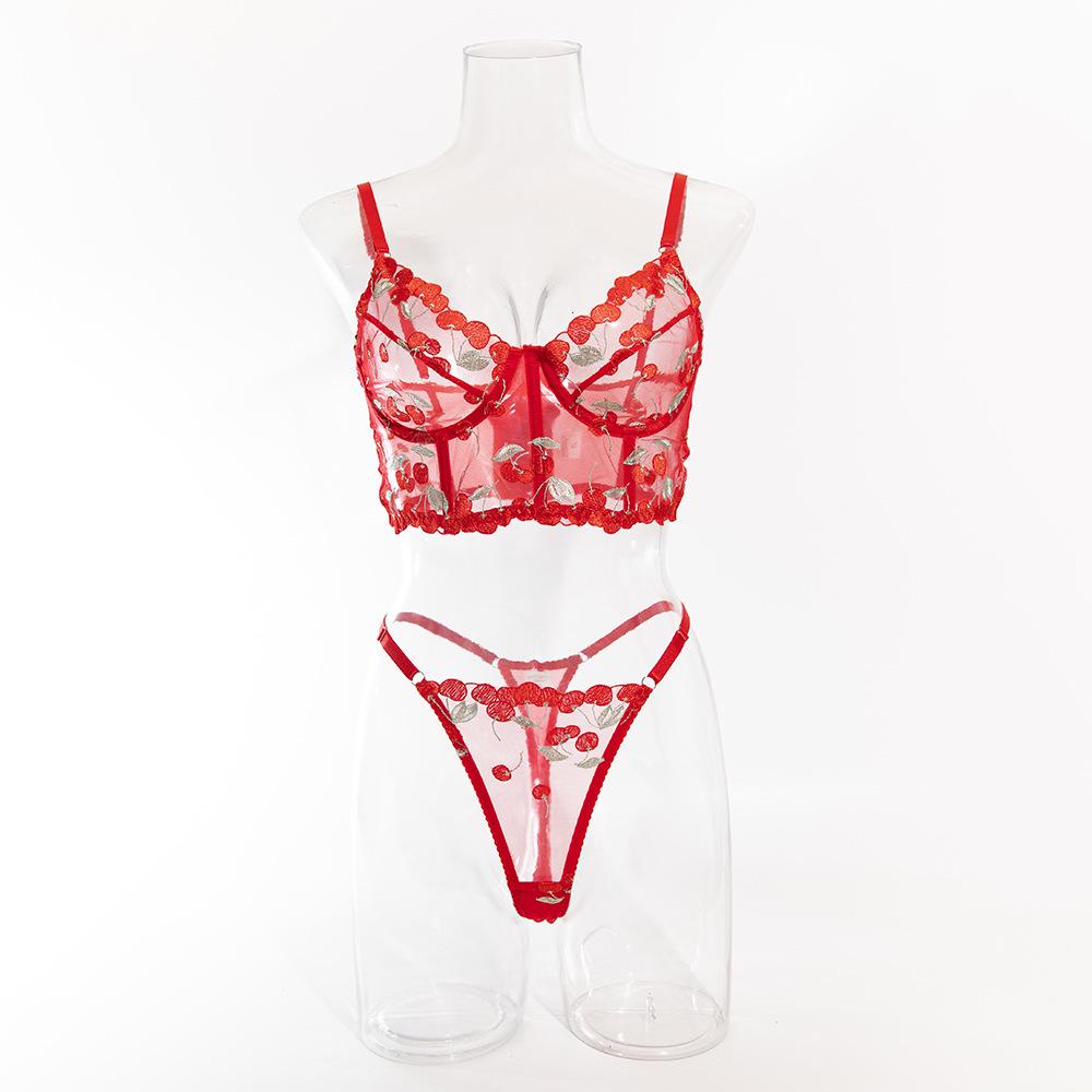 Sexy Embroidered Sheer Lingerie Set: Comfortable, Hot-Selling Two-Piece
