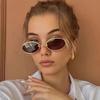 Luxury Vintage Durable Metal Metal Spectacle Frame Frame Elliptical Frame Punk Fashionable Street Photo Sun Glasses Glasses for Men and Womens