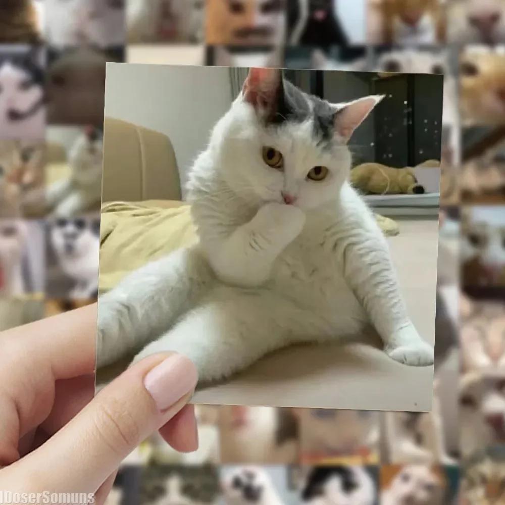 60 Adet Fotoğraf Modern Sevimli Garip Çirkin Gerçek Kedi Scrapbooking Çıkartmaları Malzeme Kırtasiye Çocuk Kendin Yap Malzemeleri El İşi Junk Journal