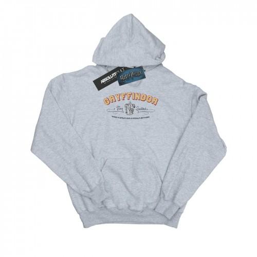 Harry Potter Boys Gryffindor Team Quidditch Hoodie