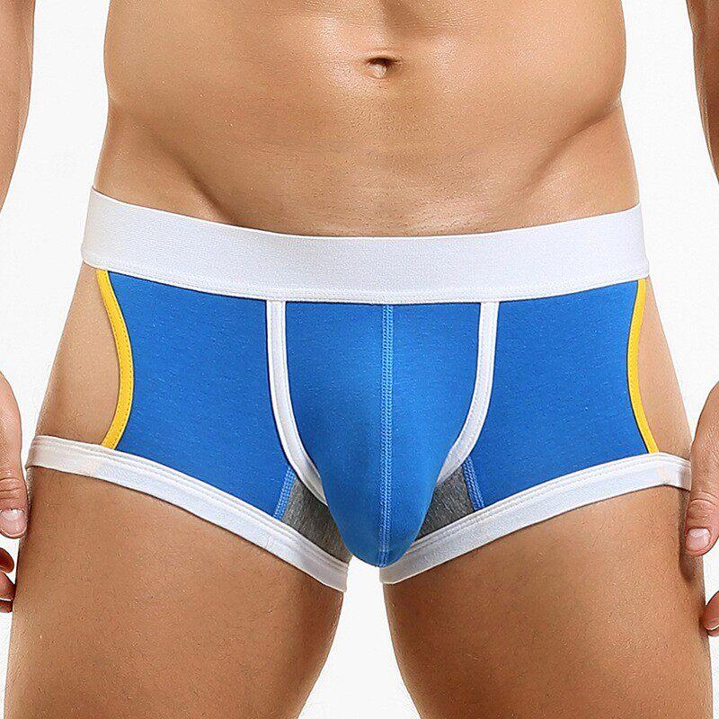 2Pcs/Lot Men's Sexy Low-Rise Boxer Briefs Hollow Sides & Back Butt Cutout Underwear Breathable Cotton Boxers