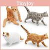 Bauernhofkatze Dekor PVC Haustiermodell Für Kinderspielzimmer Und Sammlerstücke