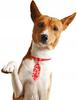 Valentine' Day Tie for Pet Dog Cat Puppy with Red Hearts