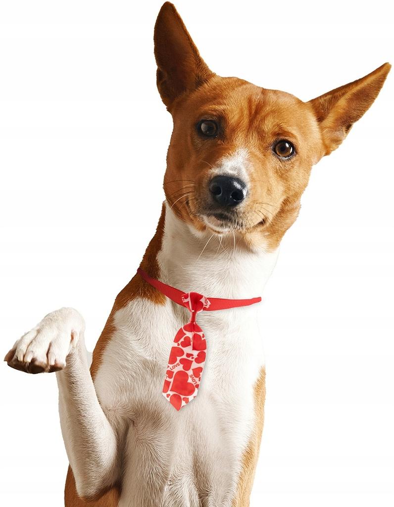 Valentine' Day Tie for Pet Dog Cat Puppy with Red Hearts