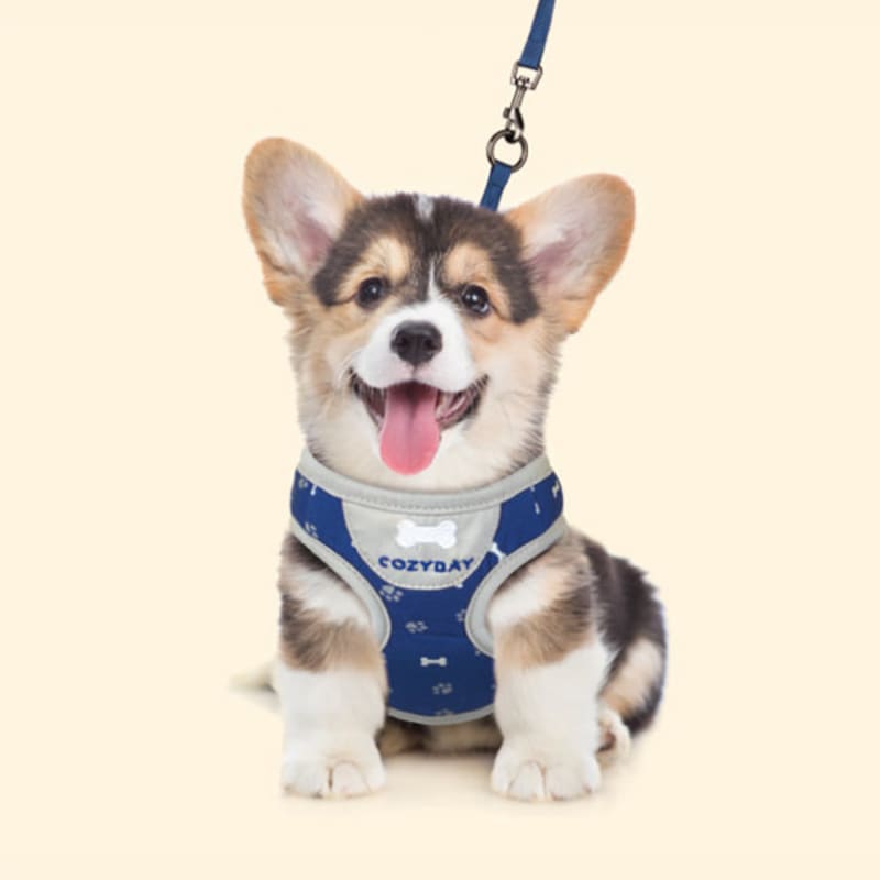 

[Pet] Модная шлейка для собак