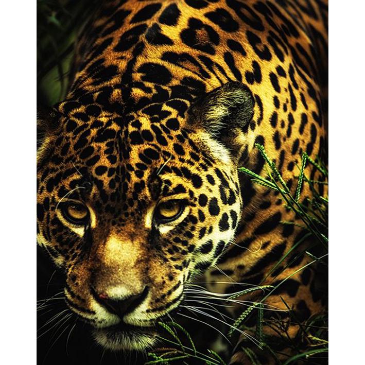 

5D алмазная картина полная круглая дрель вышивка крестом ремесло алмазная вышивка распродажа новое поступление мозаика из стразов украшение для дома 15x20CM