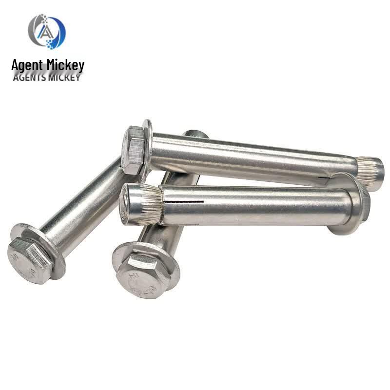 Agents Mickey 304 Stainless Steel Internal Expansion Screws