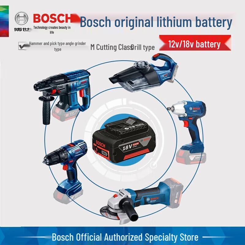 Bosch 18V Power Tool Battery & Charger CN plug (adapter included)