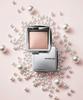 Ambient Strobe Powder  4 Colors 