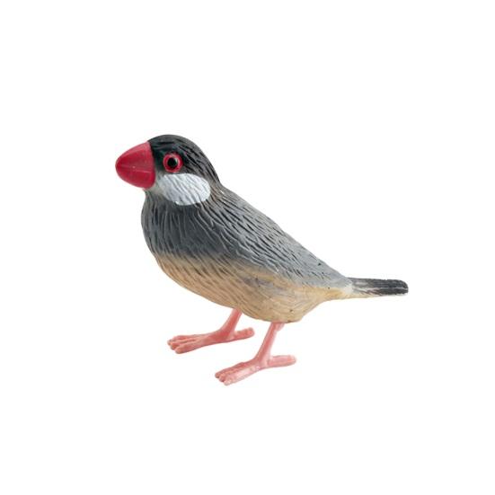 Realistische Vogel Figur Kuckuck Mannequin Kolibri Rotkehlchen Modell Miniatur Figur Kinder