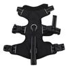 Dog Vest Harness with Leash Multifunctional Double Buckle No Pull Comfortable Breathable Mesh Dog Harness Leash Set L