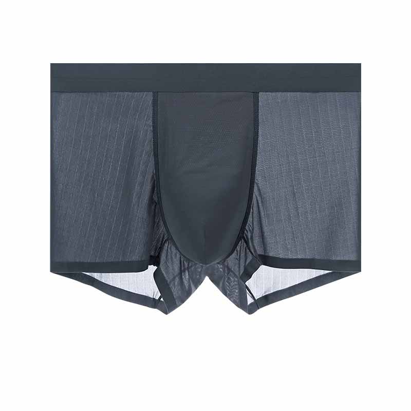 Mens Boxer Shorts Ice Silk Men Panties Seamless Underwear Man Underpants Panties Male Ultra-thin Breathable Briefs