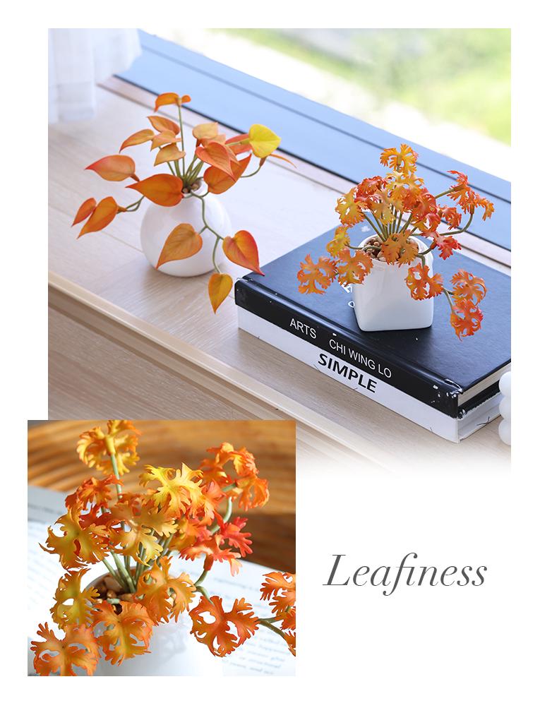 Miniature Succulent Bonsai Desk Ornament: Green Plant Props for Home or Office Decor