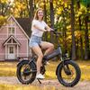 MAXTRON Paloris Bicicletta Elettrica Pieghevole da 20 pollici, motore 48V 500W, Autonomia massima fino a 45 km, Grigio.