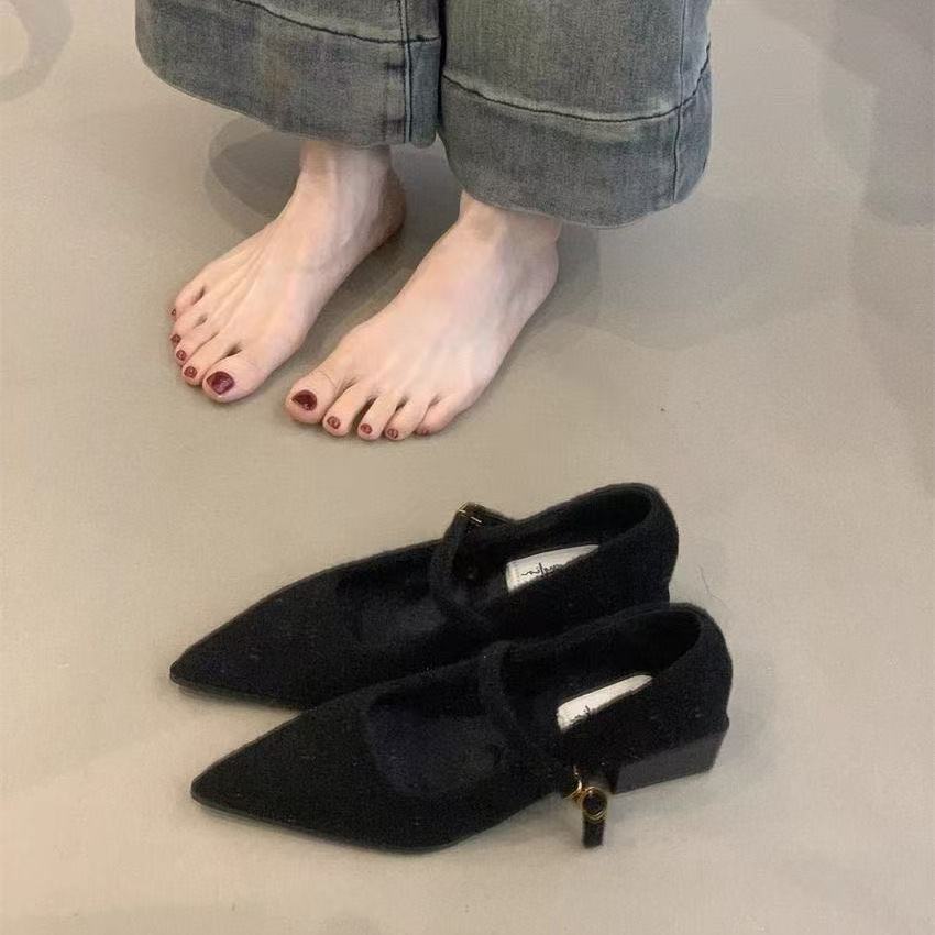 Fashion Pointed Single Shoe Women's Spring New Style French Thick Heel Shallow Mouth Shoes Elegant Low Heel Women's Shoes