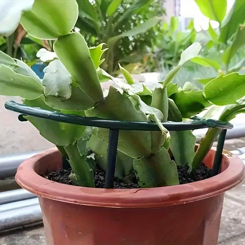 8-Pack Flexible Plastic Plant Support Stake Rings - Half Circle Garden Tomato Cage, Adjustable Plant Supports for Climbing Flowers and Indoor Plants